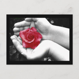 Cartão Postal Um Rosa na Mão 2