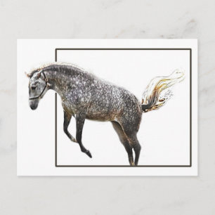 Cartão Postal Um salto alegre