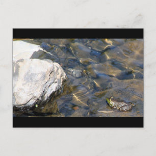 Cartão Postal Um salto de cada vez