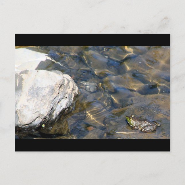 Cartão Postal Um salto de cada vez (Frente)