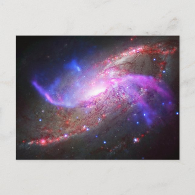 Cartão Postal Um Show De Luz Galáctica Na Galáxia Espiral Ngc 42 (Frente)