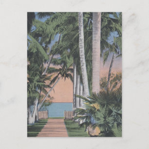 Cartão Postal Um Site Sonhador da Flórida