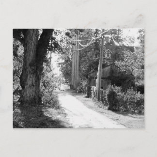 Cartão Postal Um Sonho de Preto e Branco