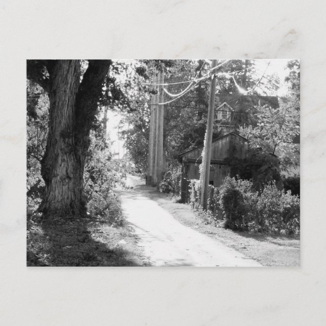 Cartão Postal Um Sonho de Preto e Branco (Frente)