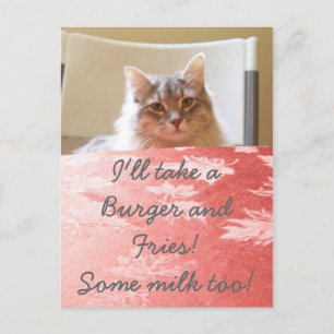 Cartão Postal Um Sonho gatinho!