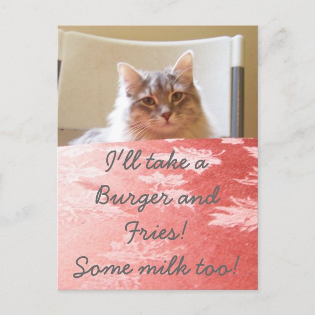 Cartão Postal Um Sonho gatinho! (Frente)