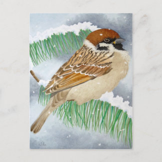 Cartão Postal Um Sparrow no inverno