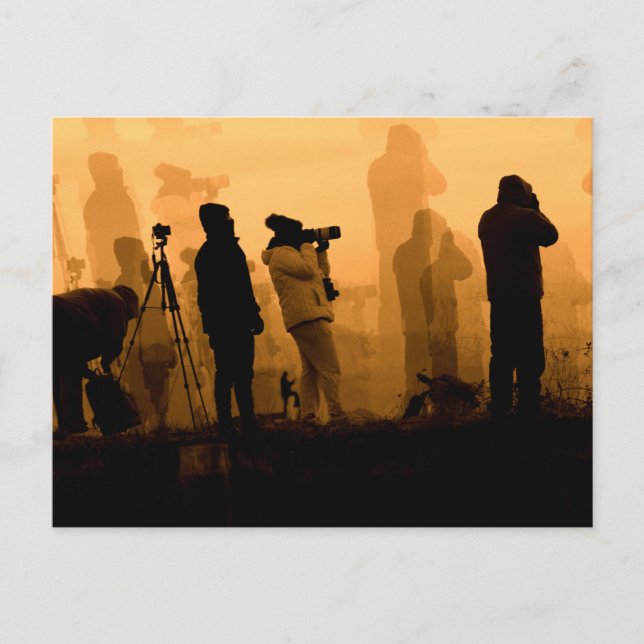 Cartão Postal Um Sunset Incrível - Fotografando Geese no Sunset (Frente)