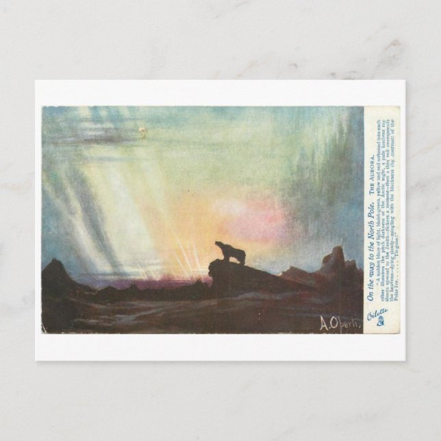 Cartão Postal Um Urso a Caminho (Frente)