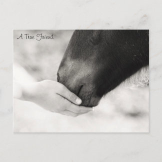 Cartão Postal Um verdadeiro amigo