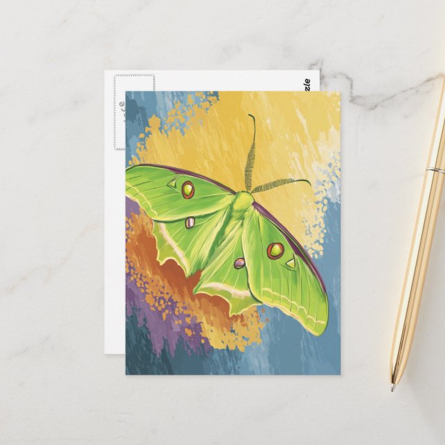 Cartão Postal Uma Bela Mariposa (Frente/Verso In Situ)