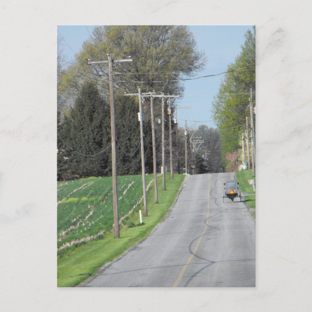 Cartão Postal ~ Uma Boa Manhã ~ (Frente)