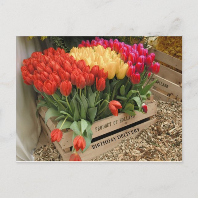 Cartão Postal Uma caixa de madeira com tulipas (Frente)