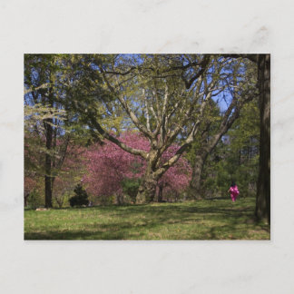 Cartão Postal Uma caminhada