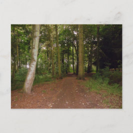 Cartão Postal Uma Caminhada De Woodland.