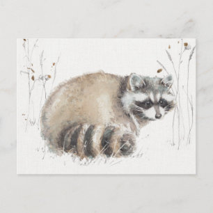 Cartão Postal Uma caminhada X da floresta