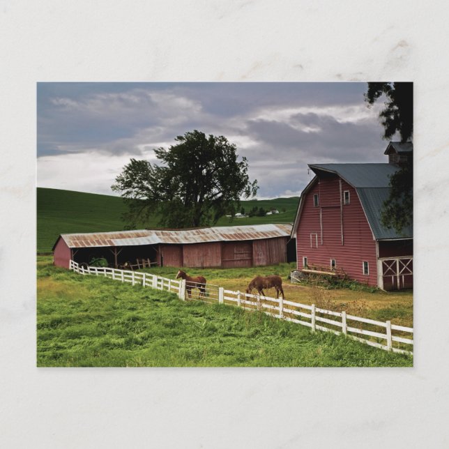 Cartão Postal Uma carona através da fazenda de Palouse 4 (Frente)