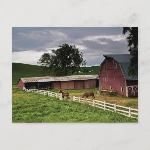 Cartão Postal Uma carona através da fazenda de Palouse 4