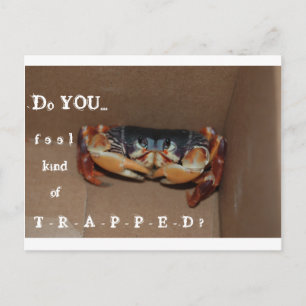 Cartão Postal Uma carta engraçada para animar um amigo...