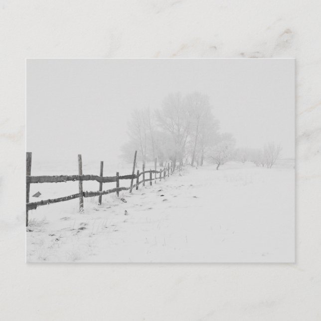 Cartão Postal Uma Cena de Neve de inverno (Frente)