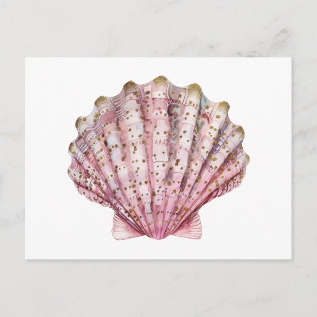 Cartão Postal Uma concha de invertebrado rosa (Frente)