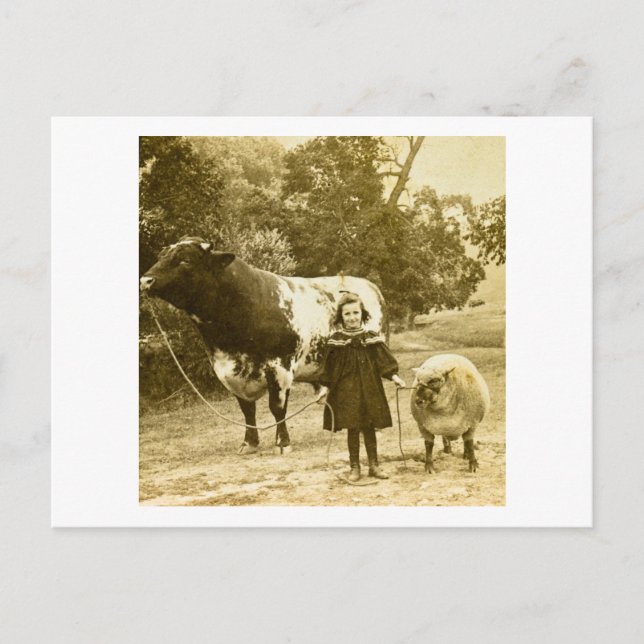 Cartão Postal Uma Criança Deve Levá-Los (Frente)