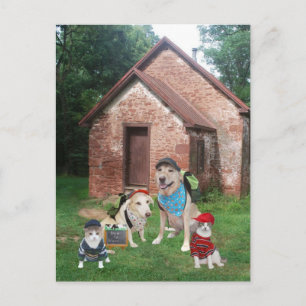 Cartão Postal Uma escola de quarto