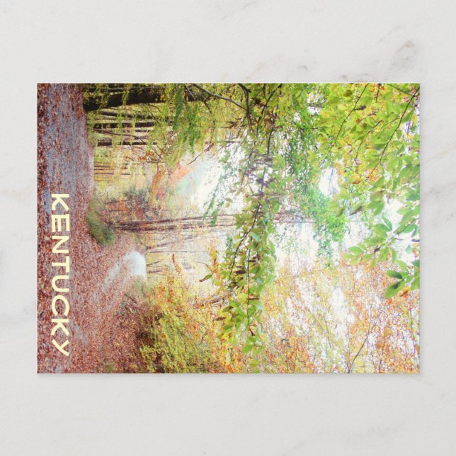 Cartão Postal Uma estrada menos viajada por JerseyFawn (Frente)