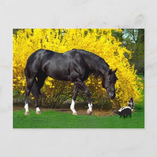 Cartão Postal "Uma ideia muito ruim" (Frente)