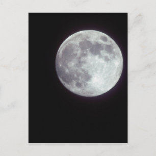 Cartão Postal Uma lua cheia brilhante em um céu noturno negro.