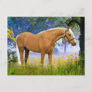 Cartão Postal "Uma Manhã Nebulosa" 