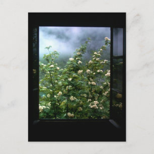 CARTÃO POSTAL UMA MULHER DE AMOR