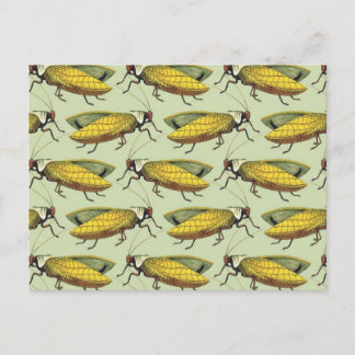 Cartão Postal Uma multidão de Katydids
