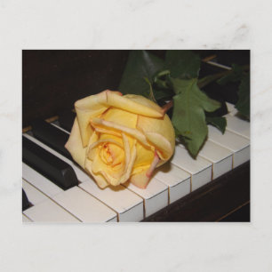 Cartão Postal Uma Música De Um Cartão-Postal Rosa