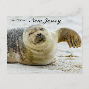 Cartão Postal Uma Onda e um Piscar de Olho de uma Foca em Nova J