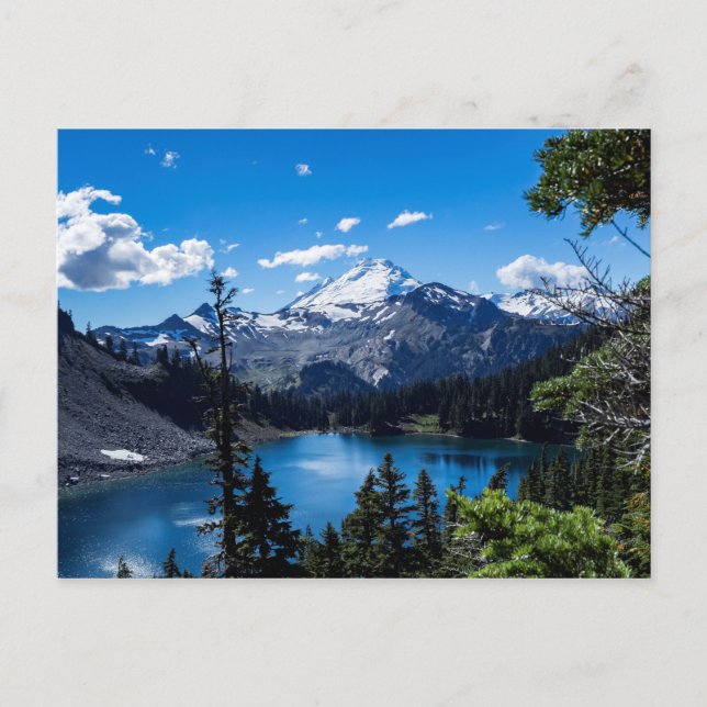 Cartão Postal Uma opinião alpina o padeiro do Mt do lago baker (Frente)