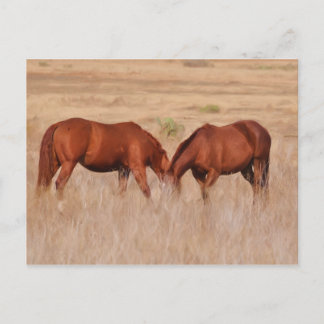 Cartão Postal Uma ou duas cabeças