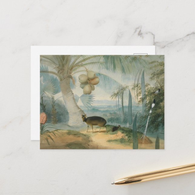 Cartão Postal Uma paisagem no Ceilão por Samuel Daniell (Frente/Verso In Situ)