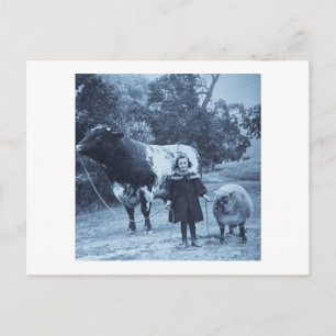 Cartão Postal Uma Pequena Criança Liderará O Cianótipo - Vintage