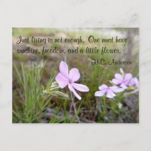 Cartão Postal Uma Pequena Flor