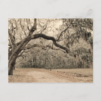 Cartão Postal Uma placa postada Arch of Oakes