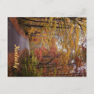 Cartão Postal Uma unidade de outono por JerseyFawn