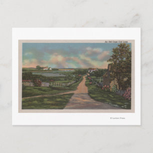 Cartão Postal Uma Vara Faixa de Cabo Cod