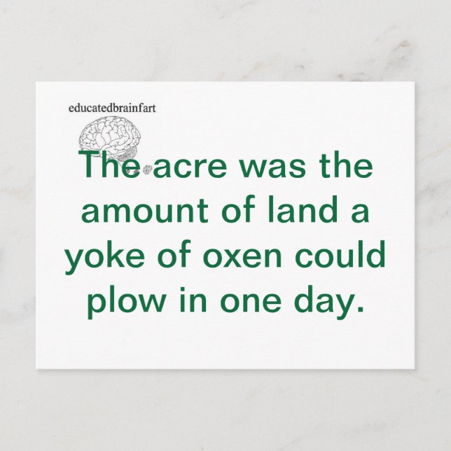 Cartão Postal Uma Verdade (Frente)