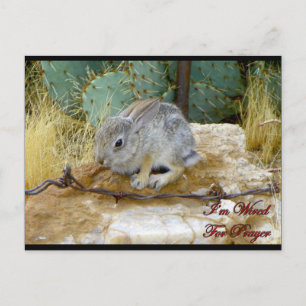 Cartão Postal Uma Vez Foi Perdida, mas agora estou programada pa