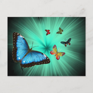 Cartão Postal Uma Viagem de Butterflys