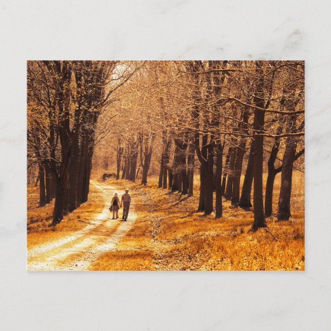 Cartão Postal Uma vida brilhante (Frente)