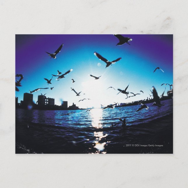 Cartão Postal Uma vista aérea de lentes de pesca em Tokyo Bay, J (Frente)