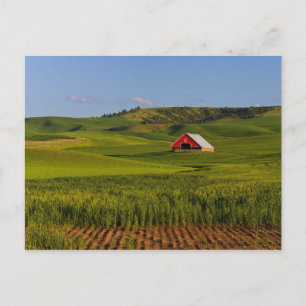 Cartão Postal Uma vista panorâmica de um celeiro em Moscow Idaho
