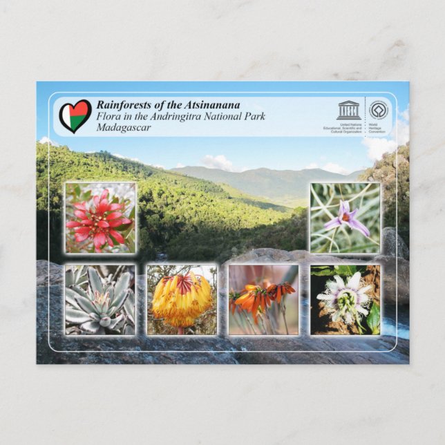 Cartão Postal UNESCO - Atsinanana - Parque Nacional de Andringit (Frente)